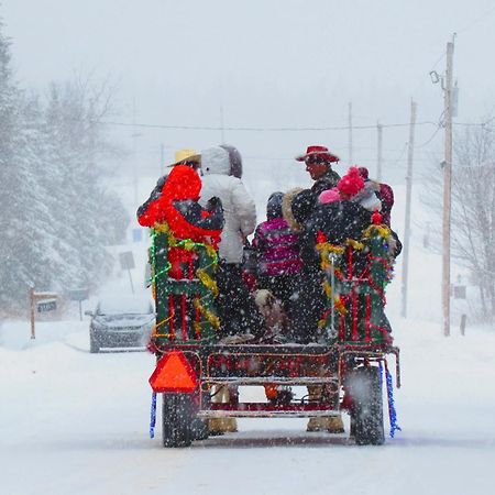Le Gite Ambrelane Thetford Mines Exteriör bild