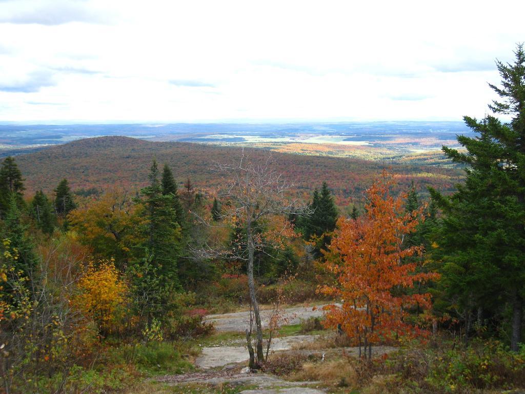 Le Gite Ambrelane Thetford Mines Exteriör bild