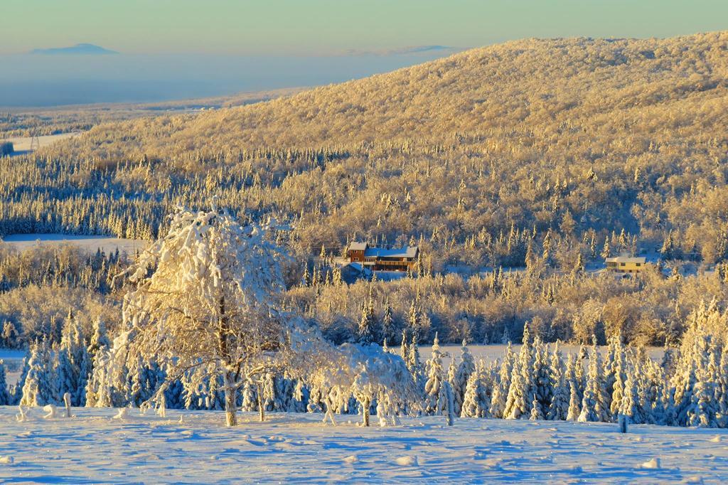 Le Gite Ambrelane Thetford Mines Exteriör bild