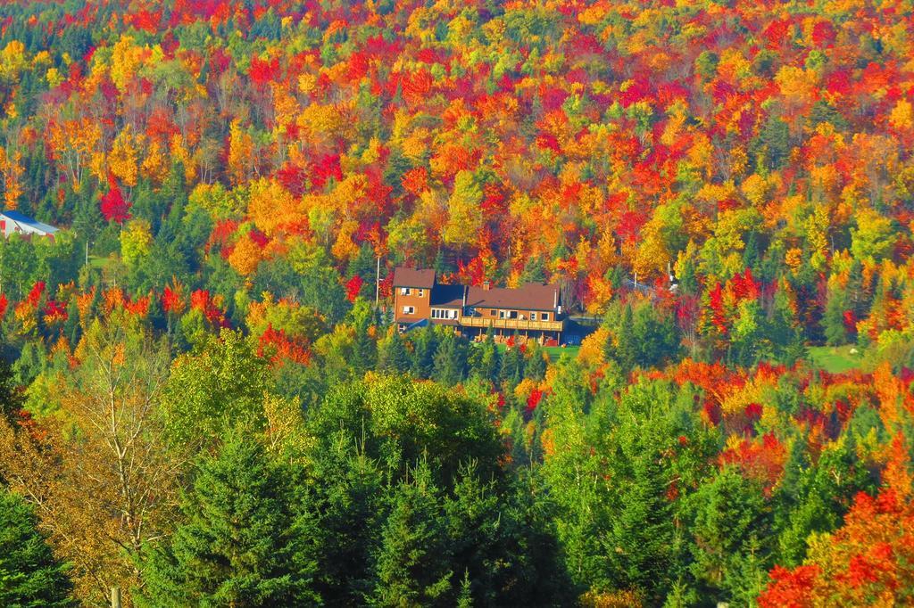Le Gite Ambrelane Thetford Mines Exteriör bild