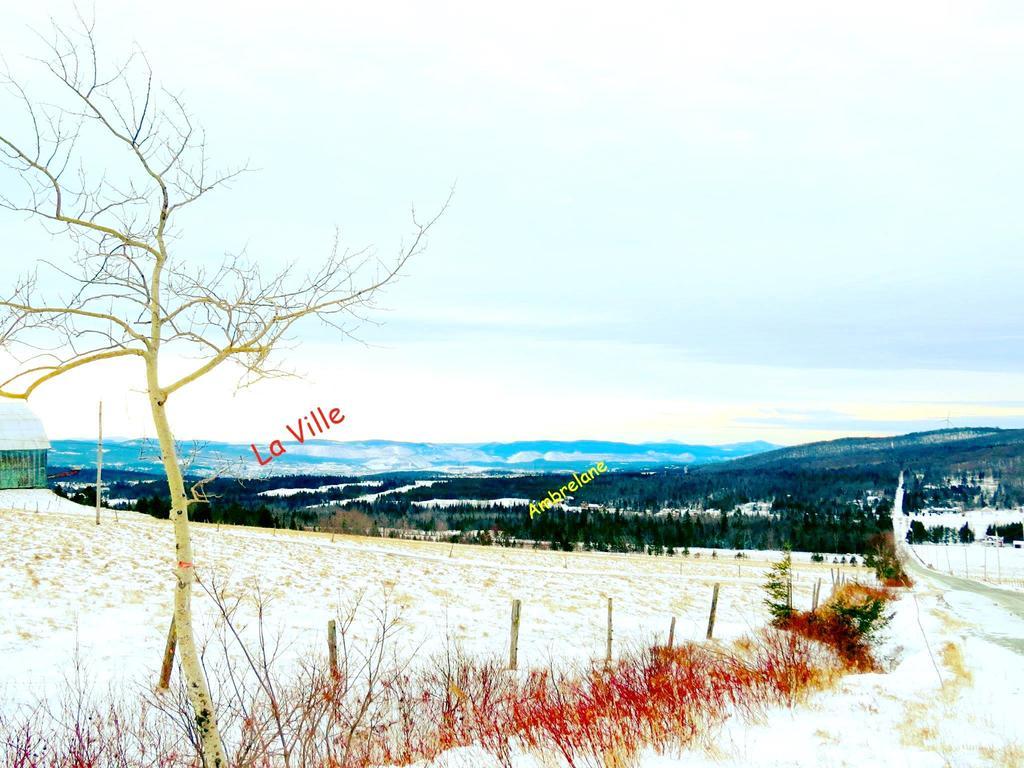 Le Gite Ambrelane Thetford Mines Exteriör bild