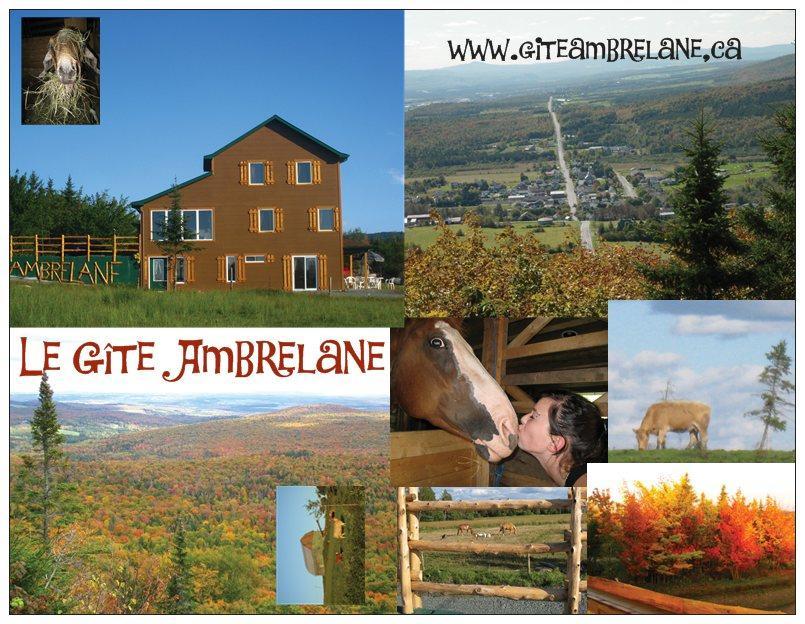 Le Gite Ambrelane Thetford Mines Exteriör bild