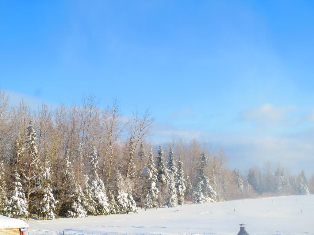 Le Gite Ambrelane Thetford Mines Exteriör bild