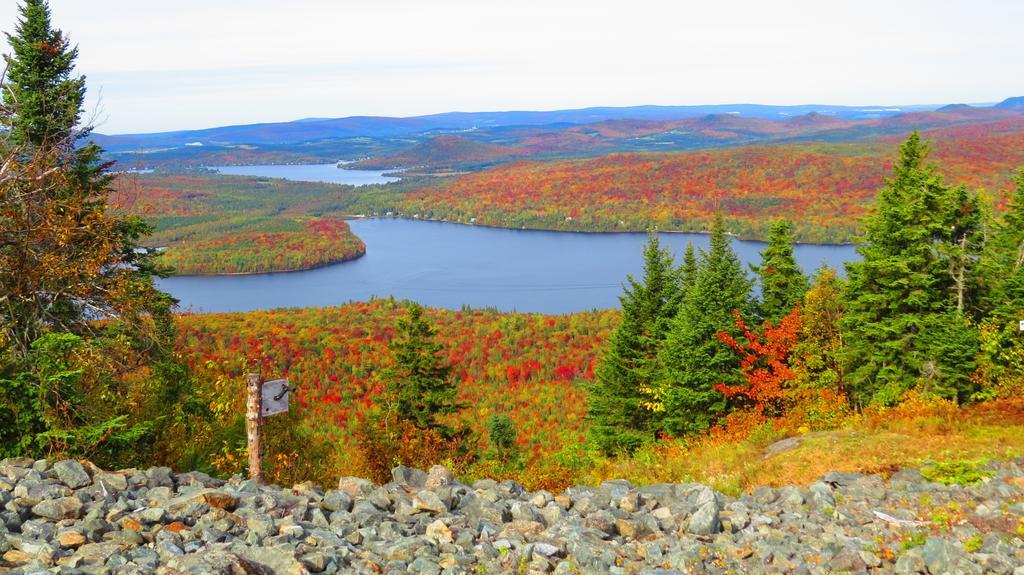 Le Gite Ambrelane Thetford Mines Exteriör bild