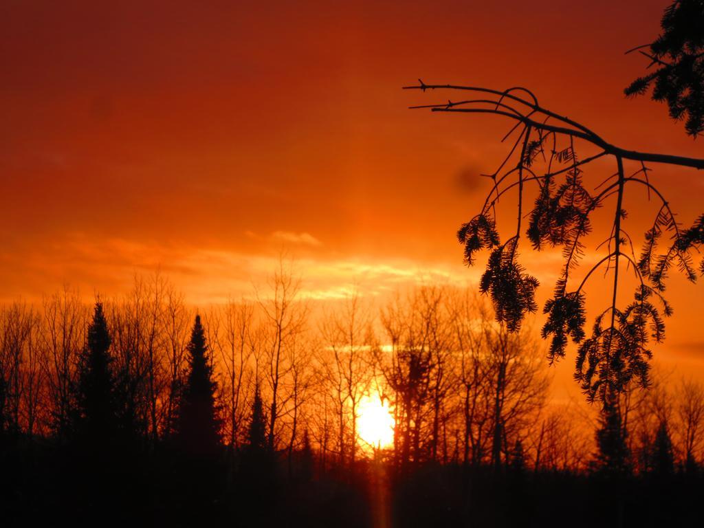 Le Gite Ambrelane Thetford Mines Exteriör bild