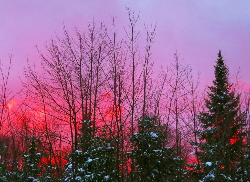 Le Gite Ambrelane Thetford Mines Exteriör bild