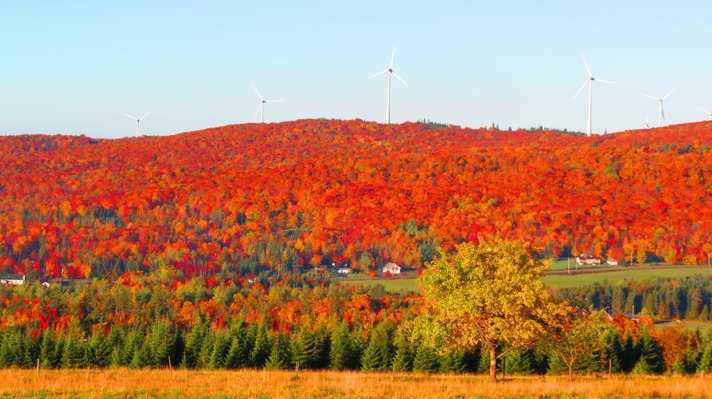 Le Gite Ambrelane Thetford Mines Exteriör bild