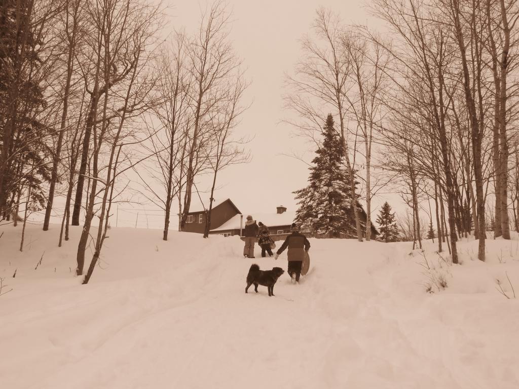 Le Gite Ambrelane Thetford Mines Exteriör bild