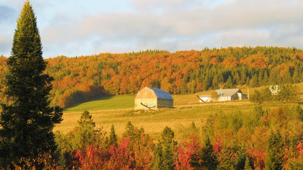 Le Gite Ambrelane Thetford Mines Exteriör bild
